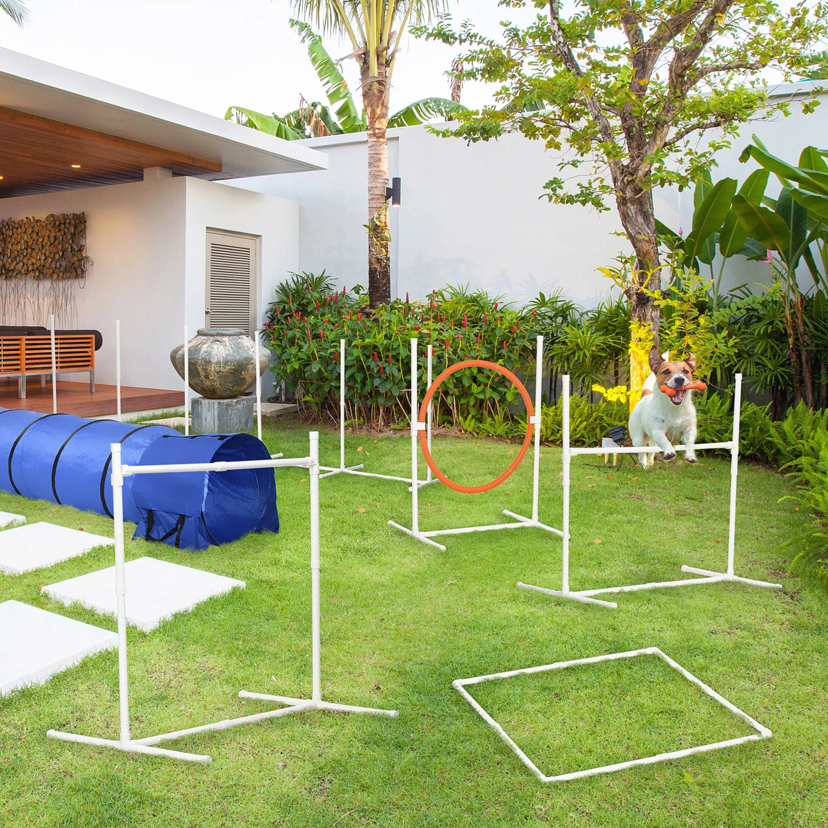 Six-Piece Dog Agility Training Set with Tunnel, Jumps and Weave Poles