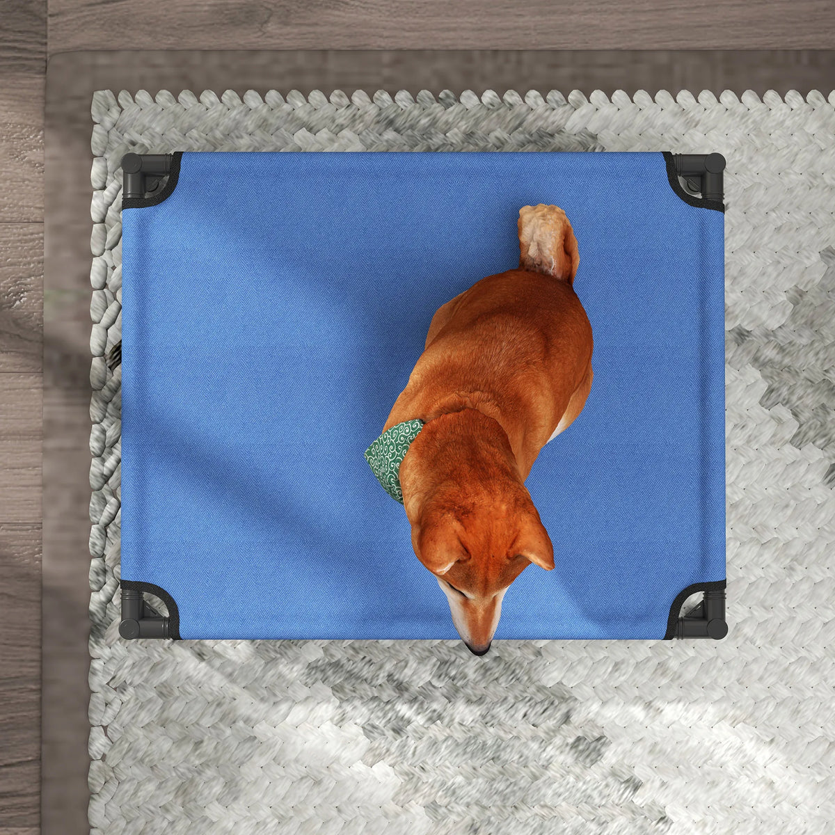 Elevated Pet Bed Folding Cooling Cot Powder Coated Metal Frame Oxford Fabric with Carry Bag for Medium Dogs
