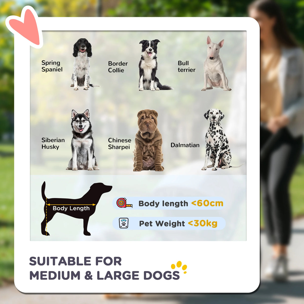 Foldable Dog Carriage w/ Universal Wheels, Shock Absorber