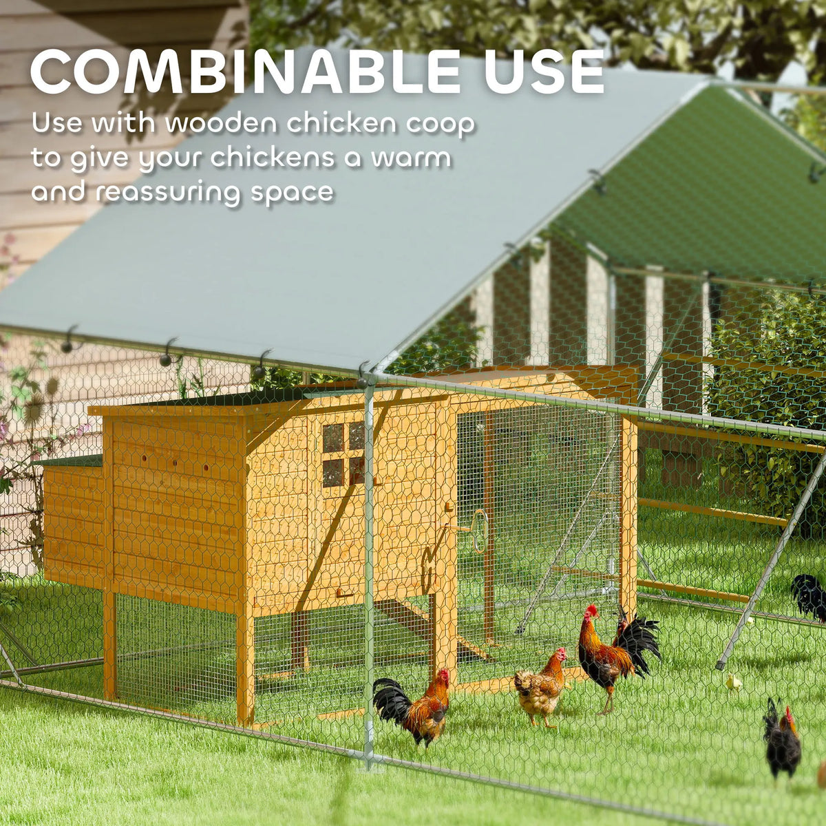 Large Walk-in Chicken Run with Cover, Feeder and Perch, 4 x 3m, for 12–18 Chickens