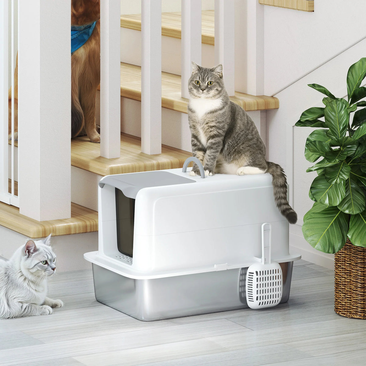 Cat Litter Box with Sand Filter, Removable Lid & Scoop, White