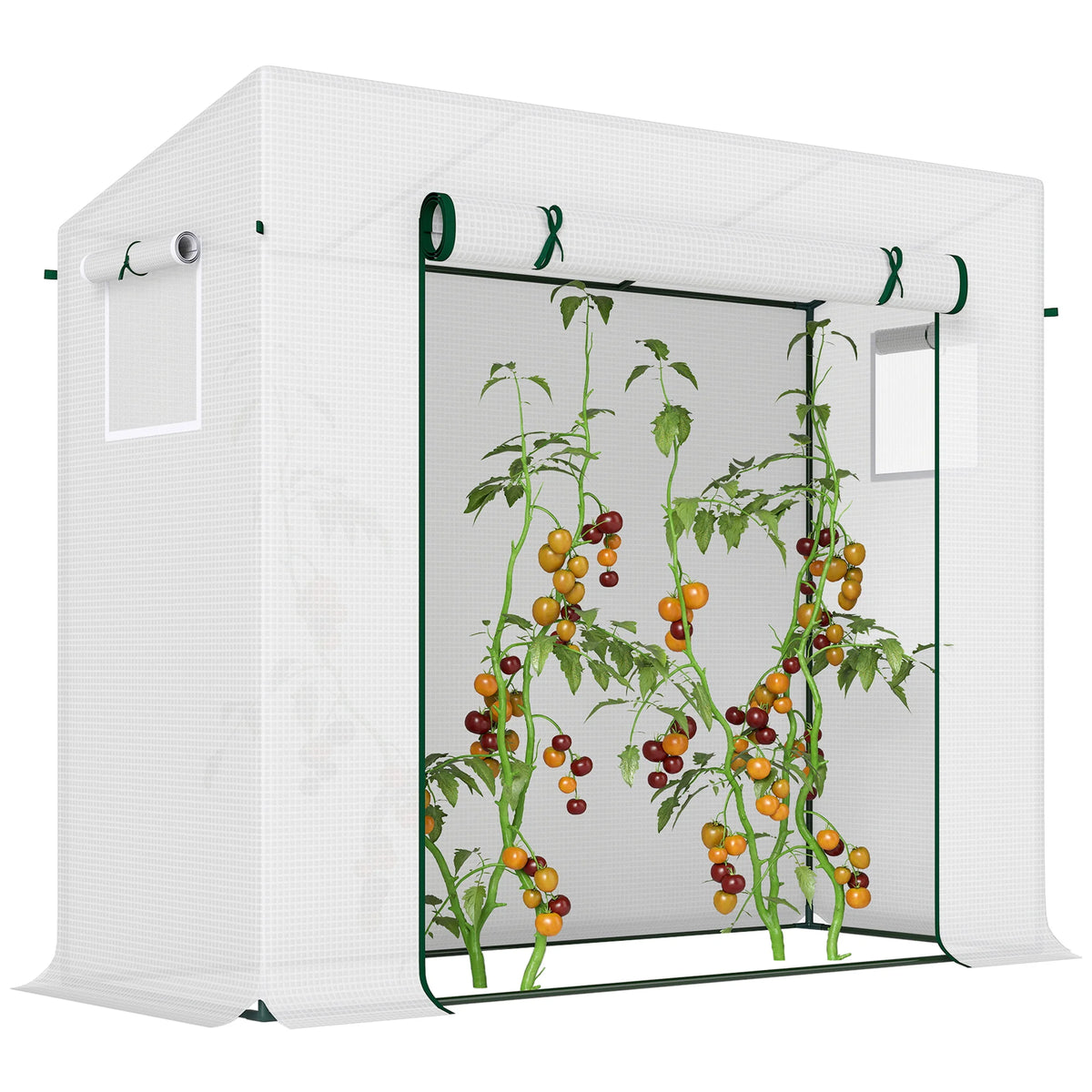 200X76X168Cm Walk-In Garden Greenhouse Tomato Plant House Durable Frame